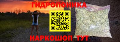 шишки Нарткала