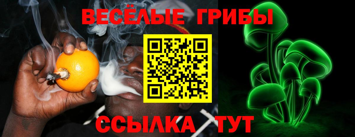 дарнет шоп  Вход с VPN  Сланцы  Псилоцибиновые грибы прущие грибы 